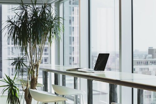 You are currently viewing How to Plan an Office Interior Fit-out on Budget